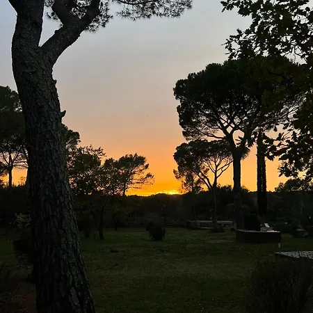 La Le Cannet-des-Maures